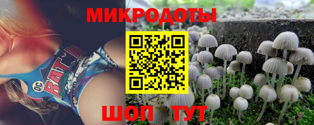 Псилоцибиновые грибы мухоморы Губаха