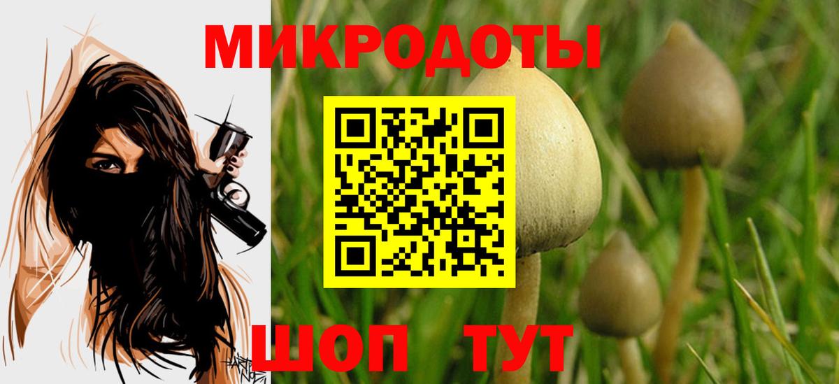 Псилоцибиновые грибы GOLDEN TEACHER  Вход с VPN  Губаха 